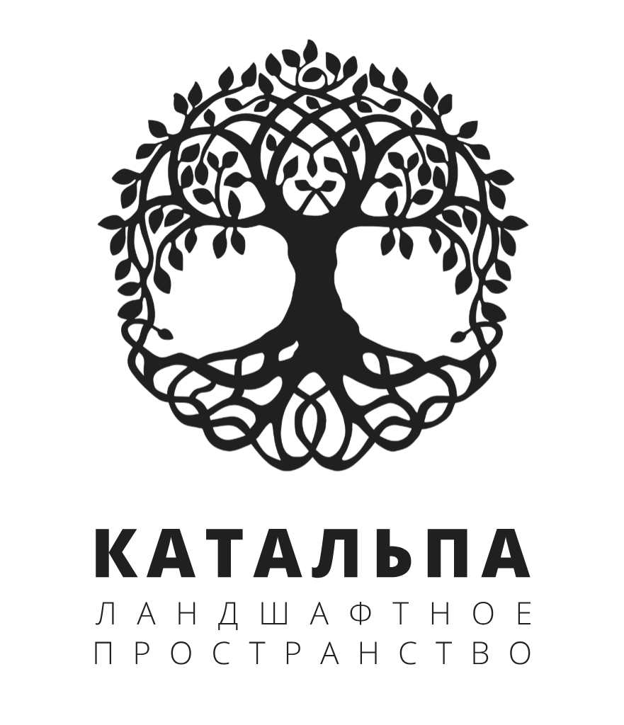 Катальпа
